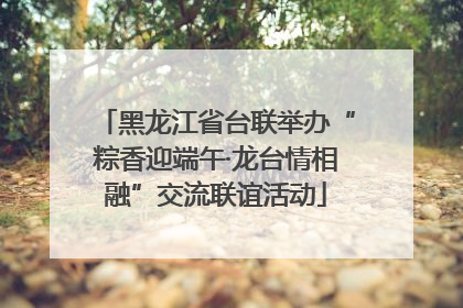 黑龙江省台联举办“粽香迎端午·龙台情相融”交流联谊活动