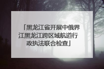 黑龙江省开展中俄界江黑龙江跨区域航道行政执法联合检查