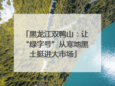 黑龙江双鸭山：让“绿字号”从寒地黑土挺进大市场