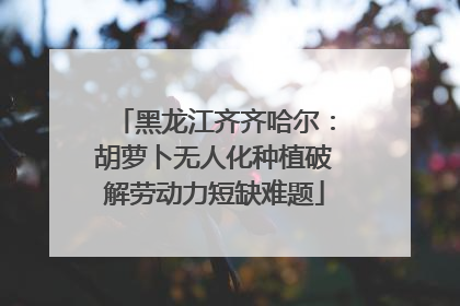黑龙江齐齐哈尔：胡萝卜无人化种植破解劳动力短缺难题