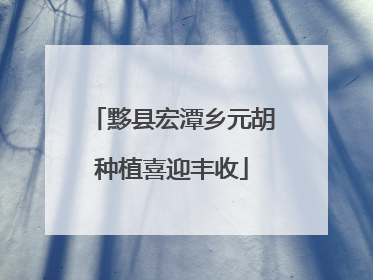 黟县宏潭乡元胡种植喜迎丰收