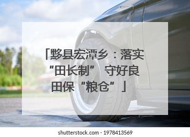 黟县宏潭乡：落实“田长制” 守好良田保“粮仓”