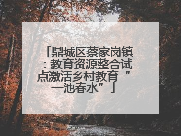 鼎城区蔡家岗镇：教育资源整合试点激活乡村教育“一池春水”