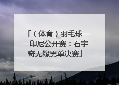 （体育）羽毛球——印尼公开赛：石宇奇无缘男单决赛