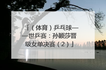 （体育）乒乓球——世乒赛：孙颖莎晋级女单决赛（2）