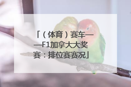 （体育）赛车——F1加拿大大奖赛：排位赛赛况