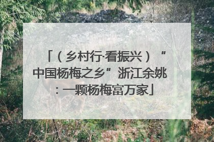（乡村行·看振兴）“中国杨梅之乡”浙江余姚：一颗杨梅富万家