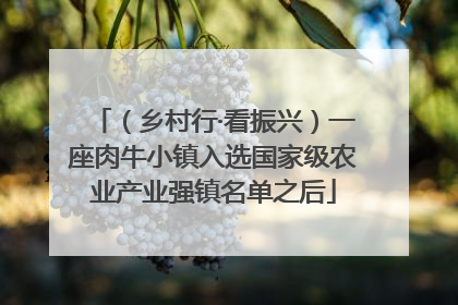 （乡村行·看振兴）一座肉牛小镇入选国家级农业产业强镇名单之后