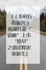 （乡村行·看振兴）南湖红菱“错峰”上市 “抢早”之道诠释农业新生