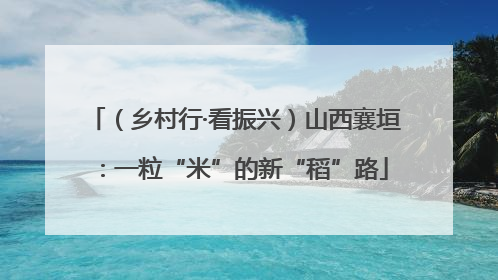 （乡村行·看振兴）山西襄垣：一粒“米”的新“稻”路