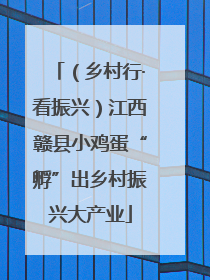 （乡村行·看振兴）江西赣县小鸡蛋“孵”出乡村振兴大产业
