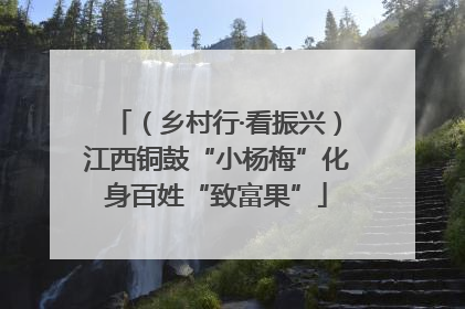 （乡村行·看振兴）江西铜鼓“小杨梅”化身百姓“致富果”