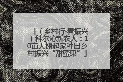 （乡村行·看振兴）科尔沁新农人：10亩大棚起家种出乡村振兴“甜蜜果”