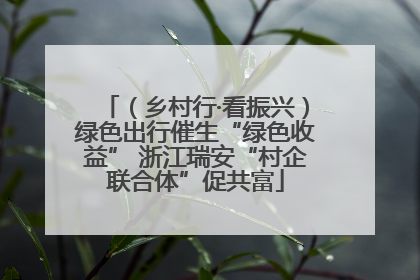 （乡村行·看振兴）绿色出行催生“绿色收益” 浙江瑞安“村企联合体”促共富