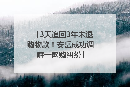 3天追回3年未退购物款！安岳成功调解一网购纠纷