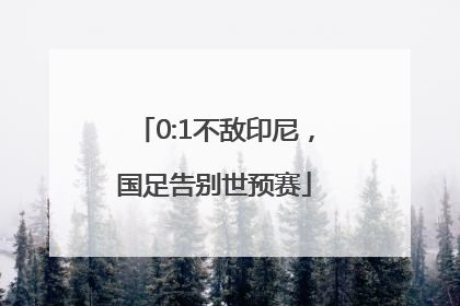 0:1不敌印尼，国足告别世预赛