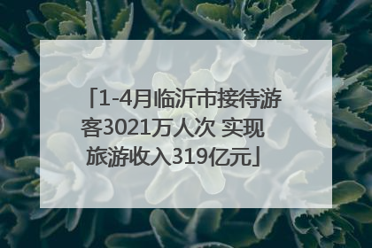 1-4月临沂市接待游客3021万人次 实现旅游收入319亿元