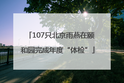 107只北京雨燕在颐和园完成年度“体检”