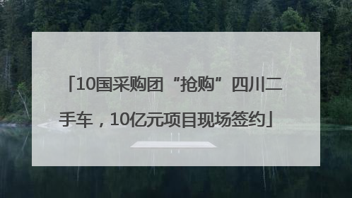 10国采购团“抢购”四川二手车，10亿元项目现场签约