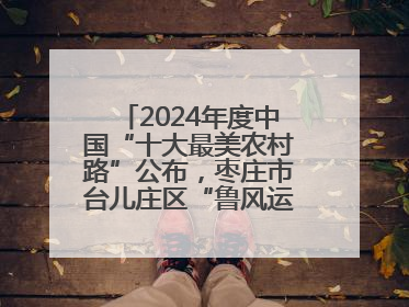 2024年度中国“十大最美农村路”公布，枣庄市台儿庄区“鲁风运河”古城文化廊道上榜！