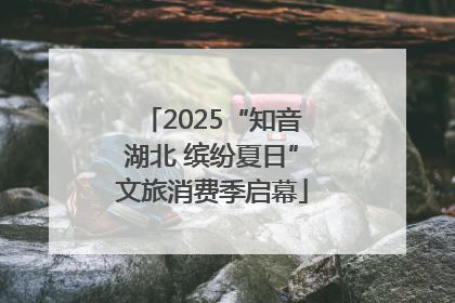 2025“知音湖北 缤纷夏日”文旅消费季启幕