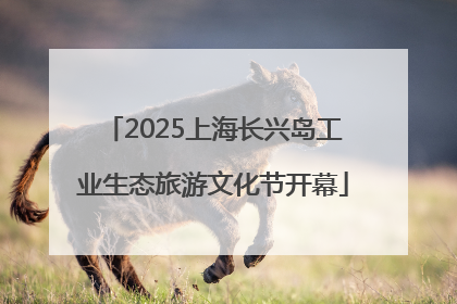 2025上海长兴岛工业生态旅游文化节开幕