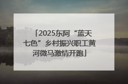 2025东阿“蓝天七色”乡村振兴职工黄河微马激情开跑