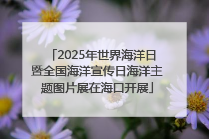 2025年世界海洋日暨全国海洋宣传日海洋主题图片展在海口开展