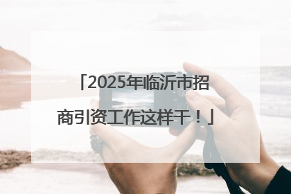 2025年临沂市招商引资工作这样干！