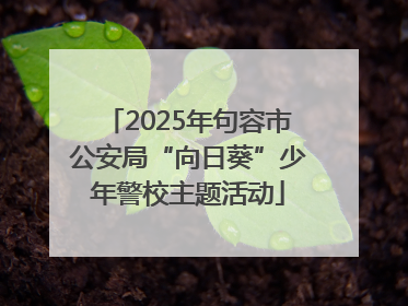2025年句容市公安局“向日葵”少年警校主题活动