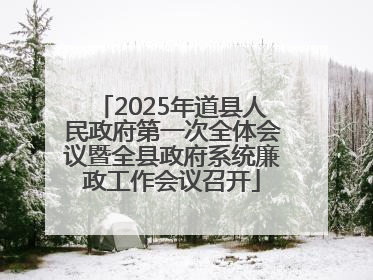 2025年道县人民政府第一次全体会议暨全县政府系统廉政工作会议召开