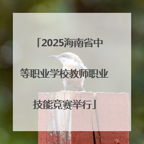 2025海南省中等职业学校教师职业技能竞赛举行
