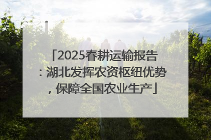 2025春耕运输报告：湖北发挥农资枢纽优势，保障全国农业生产