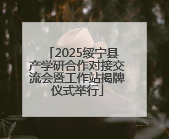 2025绥宁县产学研合作对接交流会暨工作站揭牌仪式举行