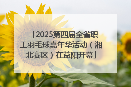 2025第四届全省职工羽毛球嘉年华活动（湘北赛区）在益阳开幕