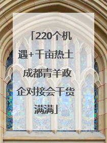 220个机遇+千亩热土 成都青羊政企对接会干货满满