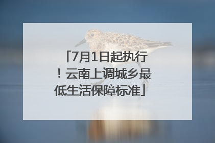 7月1日起执行！云南上调城乡最低生活保障标准