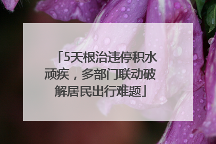 5天根治违停积水顽疾，多部门联动破解居民出行难题