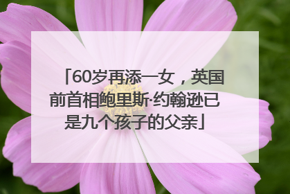 60岁再添一女，英国前首相鲍里斯·约翰逊已是九个孩子的父亲