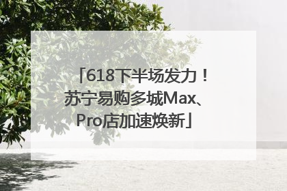 618下半场发力！苏宁易购多城Max、Pro店加速焕新