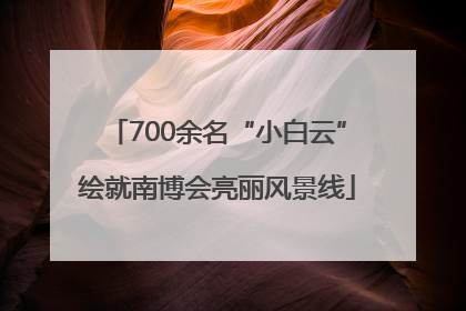 700余名“小白云”绘就南博会亮丽风景线
