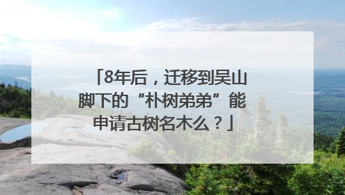 8年后，迁移到吴山脚下的“朴树弟弟”能申请古树名木么？