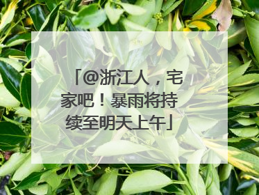 @浙江人，宅家吧！暴雨将持续至明天上午