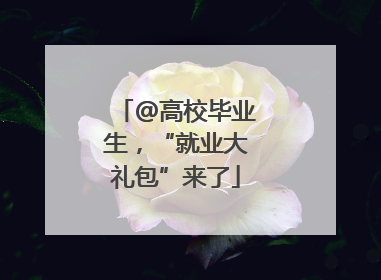 @高校毕业生，“就业大礼包”来了