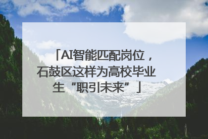 AI智能匹配岗位，石鼓区这样为高校毕业生“职引未来”