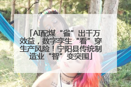 AI配煤“省”出千万效益，数字孪生“看”穿生产风险！宁阳县传统制造业“智”变突围