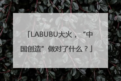 LABUBU大火，“中国创造”做对了什么？