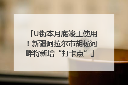 U街本月底竣工使用！新疆阿拉尔市胡杨河畔将新增“打卡点”